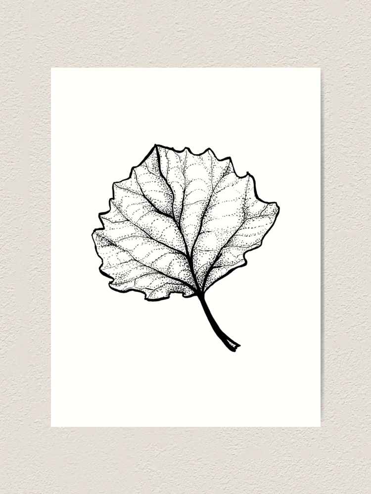 leaf 🌿 sketch pen art : r/drawing