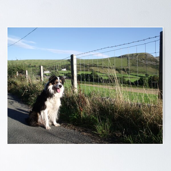 Item preview, The Road of Laddie designed and sold by Michael Haslam.