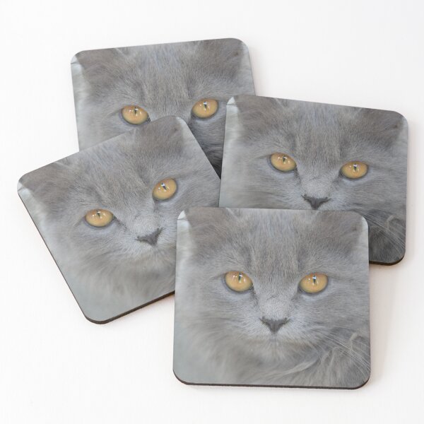 Item preview, Smokey cat designed and sold by Stickered Identity.
