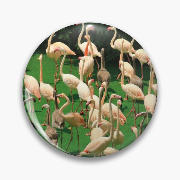 Item preview, A flamboyance of flamingos designed and sold by FranWest.