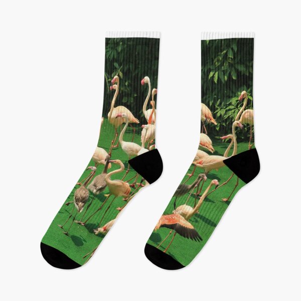 Item preview, A flamboyance of flamingos designed and sold by FranWest.
