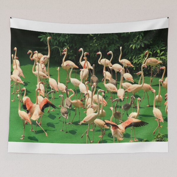 Item preview, A flamboyance of flamingos designed and sold by FranWest.
