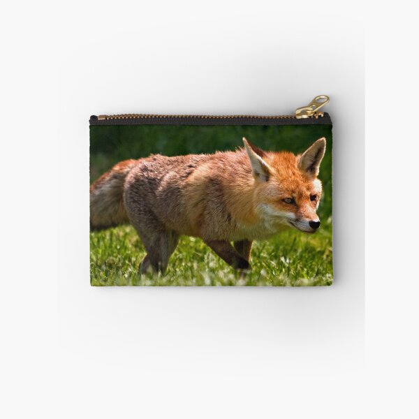 Item preview, Foxy Goes Hunting designed and sold by hebrideslight.