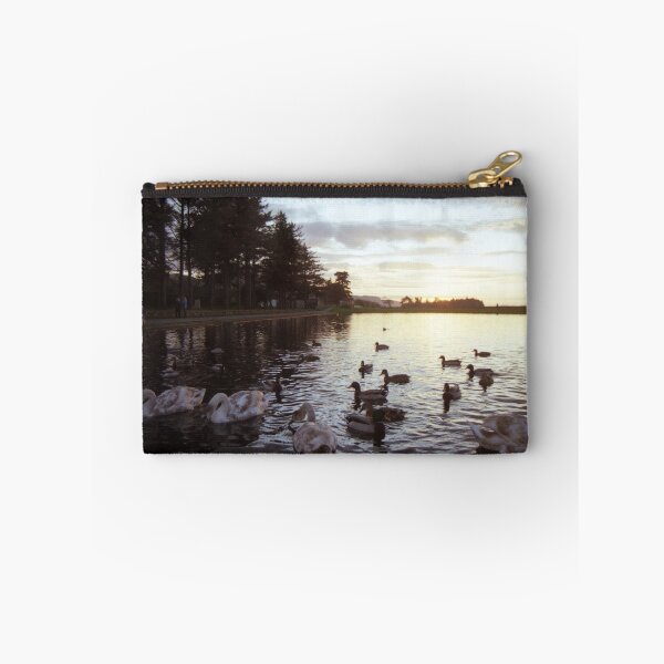 Item preview, Cygnets at sunset designed and sold by Michael Haslam.
