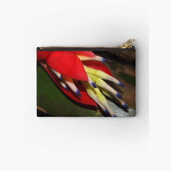 Item preview, Sultry bromeliad bloom designed and sold by B. Randi Bailey.