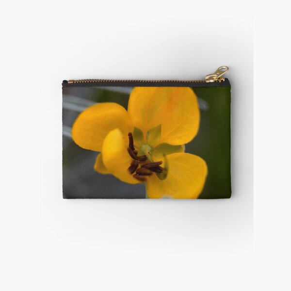 Item preview, Senna artemisioides ssp. sturtii  designed and sold by andrachne.