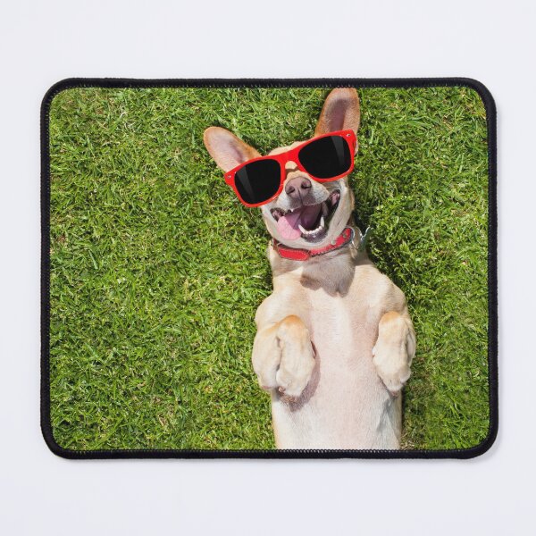 Item preview, Funny Laughing Dog with Red Sunglasses. designed and sold by cgroenewald.
