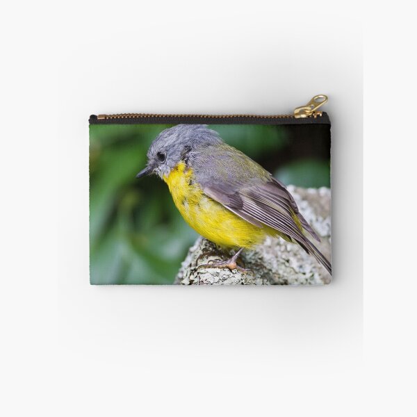 Item preview, Eastern Yellow Breasted Robin designed and sold by Bill  Robinson.