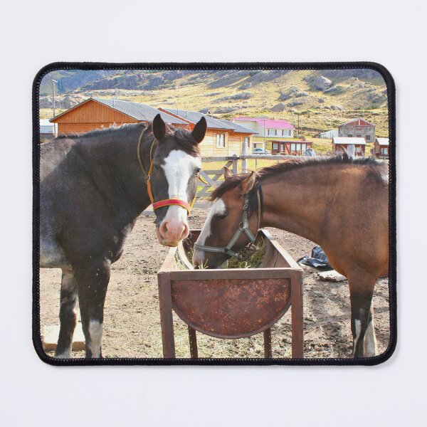 Item preview, Horses feeding, El Chalten, Argentina, South America designed and sold by FranWest.