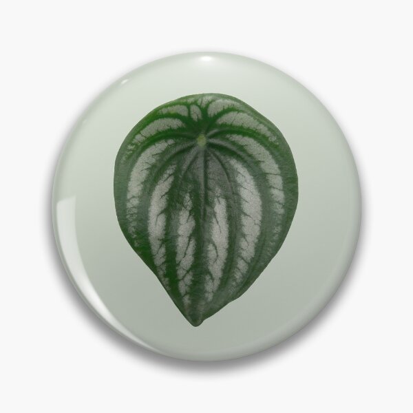 Item preview, Watermelon Peperomia designed and sold by mooneko.