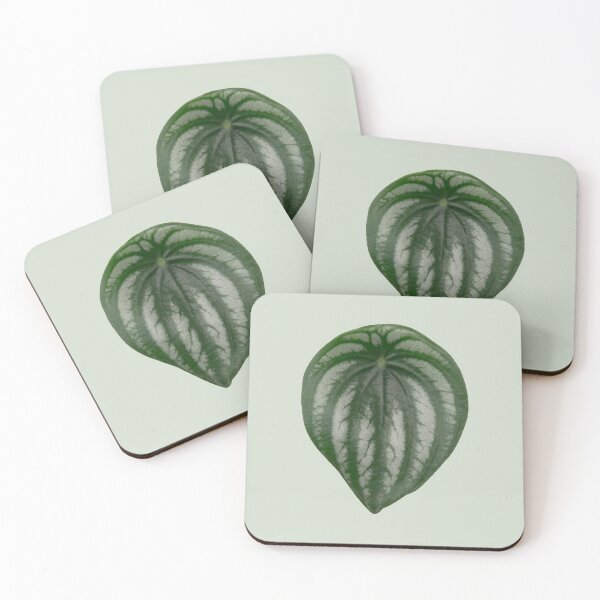 Item preview, Watermelon Peperomia designed and sold by mooneko.