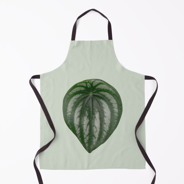 Item preview, Watermelon Peperomia designed and sold by mooneko.