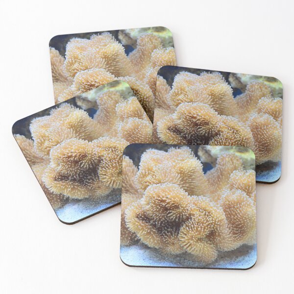 Item preview, Aquarium Leather Coral Reef designed and sold by Baboki.