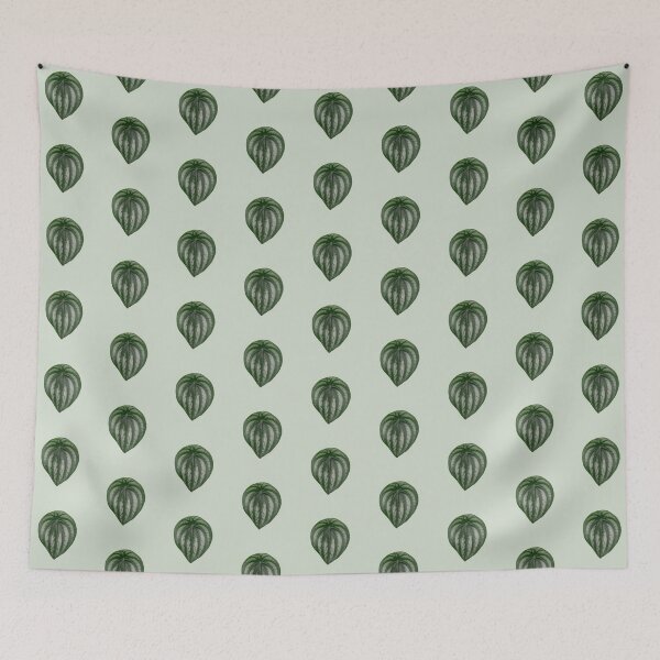 Item preview, Watermelon Peperomia designed and sold by mooneko.