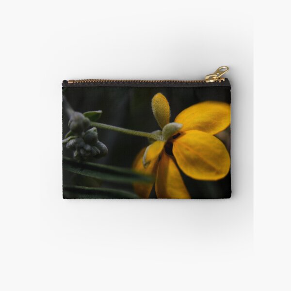 Item preview, Senna artemisioides ssp. sturtii designed and sold by andrachne.