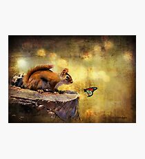 Woodland Wonder Photographic Print