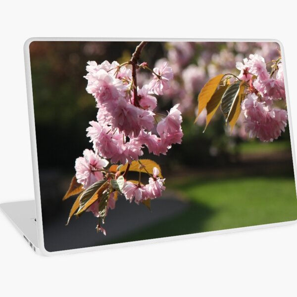 Pink Blossom Time Laptop Skin