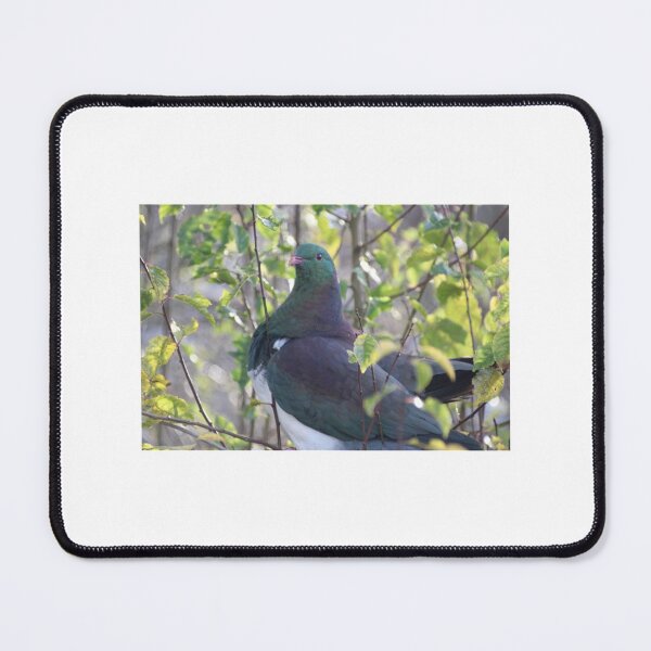Item preview, New Zealand Kereru (Wood Pigeon)      designed and sold by sideburns556.