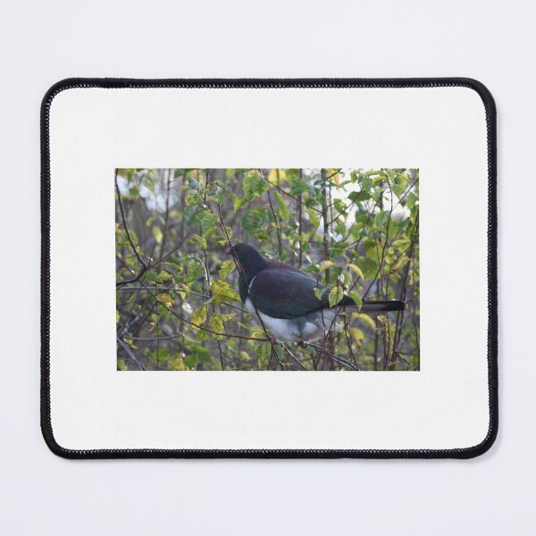 Item preview, New Zealand Kereru (Wood Pigeon)        designed and sold by sideburns556.