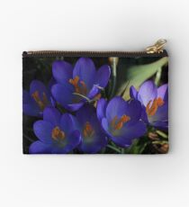Sign of spring Studio Pouch