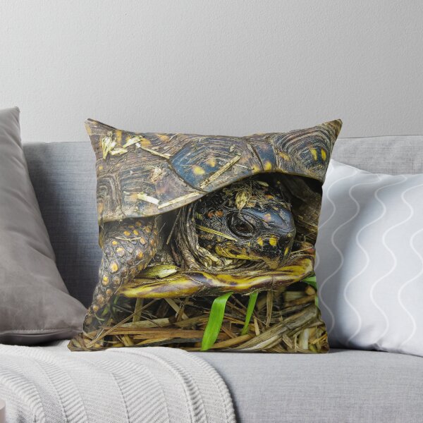 Item preview, Box turtle in the fall- thinking about hibernating designed and sold by David Chesluk.
