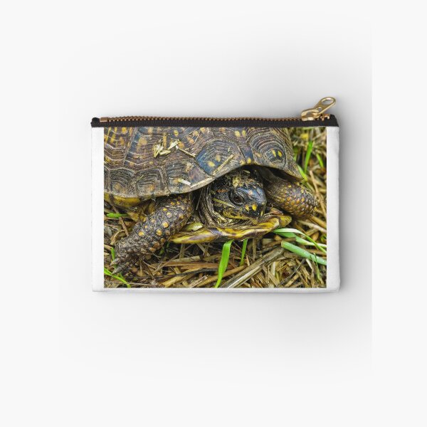 Item preview, Box turtle in the fall- thinking about hibernating designed and sold by David Chesluk.