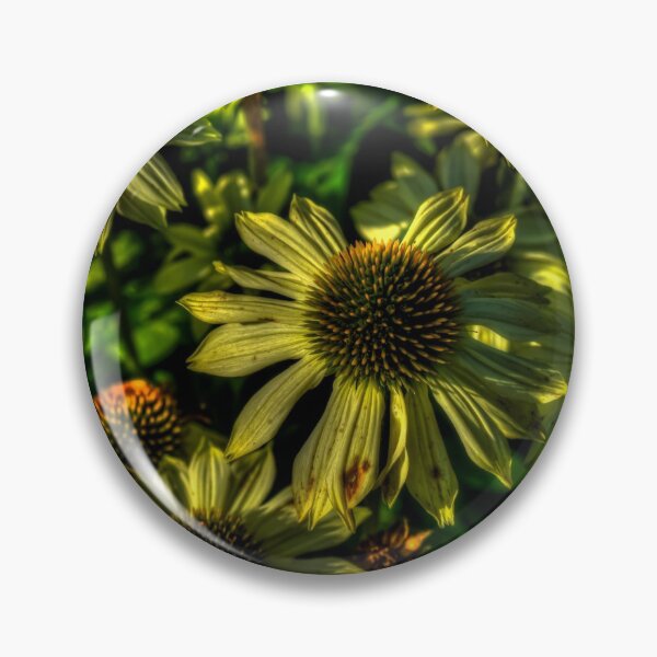 Artikelvorschau, Gelbe Echinacea-Blumen entworfen und verkauft von axp7884.