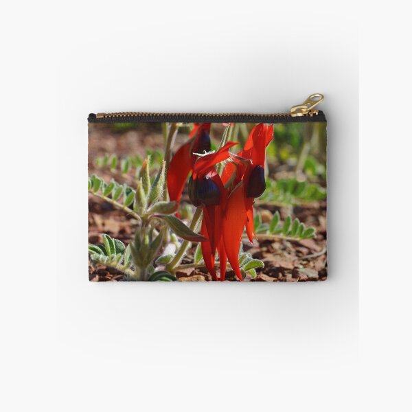 Item preview, Sturt's Desert Pea - Port Augusta, South Australia, AUSTRALIA designed and sold by Sean De Freitas.
