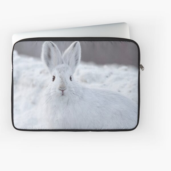 A Moment of Indecision Laptop Sleeve