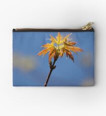 Good Morning Spring Studio Pouch