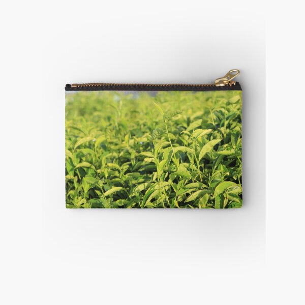 Item preview, Tea plantation at Nyungwe Forest Lodge designed and sold by Marc BF.