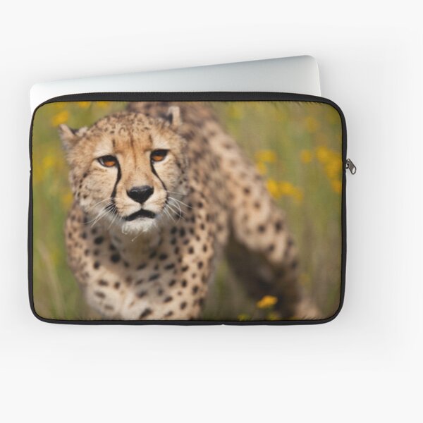 Cheetah close-up Laptop Sleeve