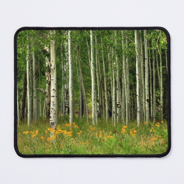 Item preview, Summer Aspens Flagstaff Arizona designed and sold by K D Graves Photography.