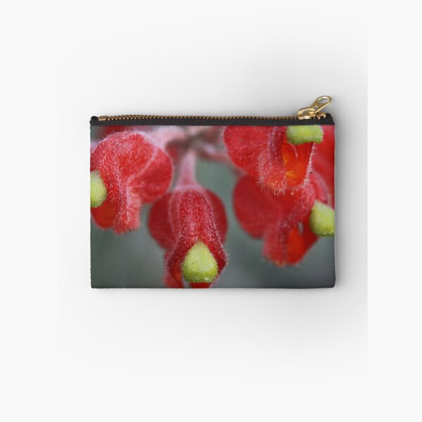 Item preview, Grevillea saccata designed and sold by andrachne.