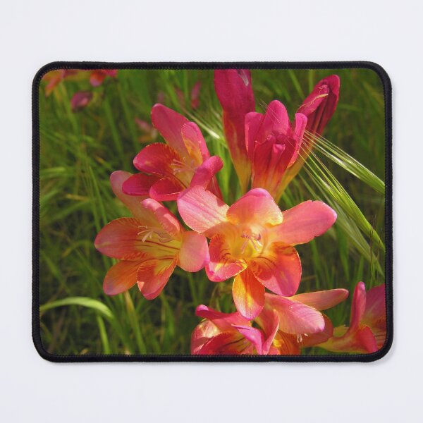 Item preview, Red freesias designed and sold by Kiran-Fine-Art.