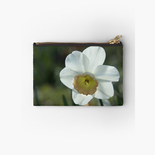 Item preview, Shining Daffodil designed and sold by teresalynwillis.