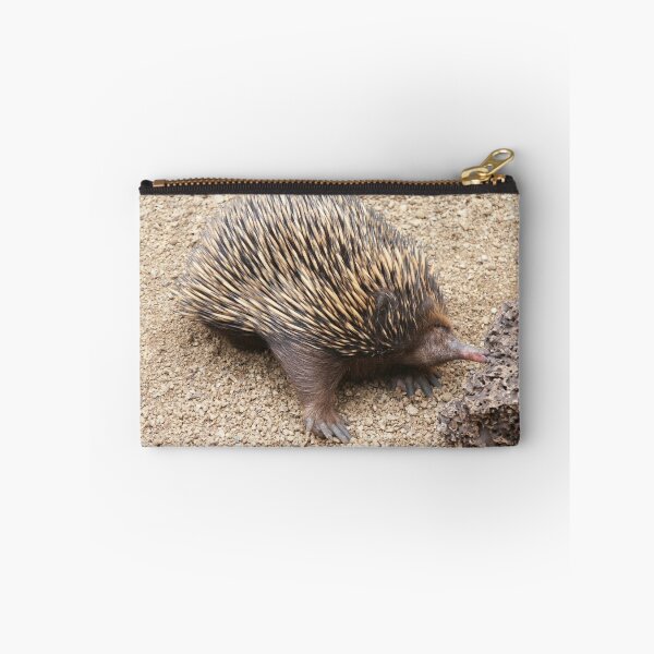 Item preview, Echidna designed and sold by Bob Hardy.