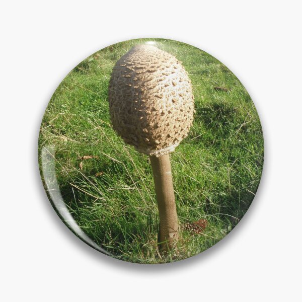 Artikelvorschau, Shaggy Parasol Fungus Photograph entworfen und verkauft von naturegallery.