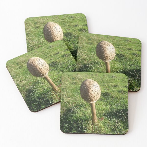Item preview, Shaggy Parasol Fungus Photograph designed and sold by naturegallery.