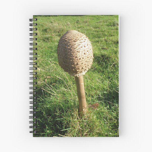 Item preview, Shaggy Parasol Fungus Photograph designed and sold by naturegallery.