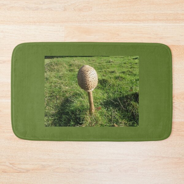 Item preview, Shaggy Parasol Fungus Photograph designed and sold by naturegallery.