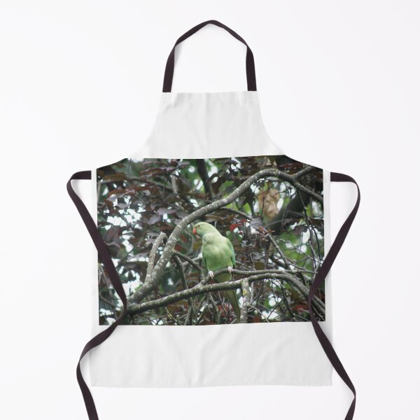 Item preview, Ring Necked Parakeet in Copper Beech Tree Photograph designed and sold by naturegallery.