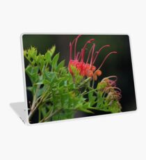 Grevillea bipinnatifida Laptop Skin