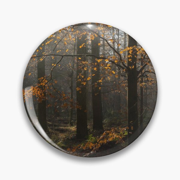 Item preview, Autumn Light designed and sold by HAPhotography.