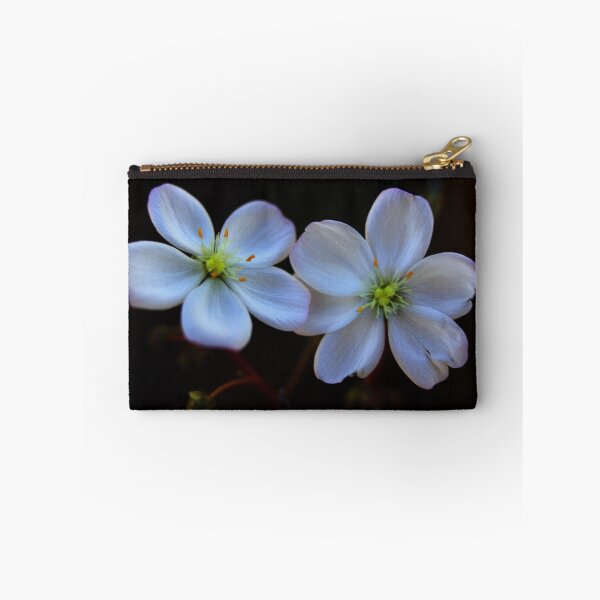 Item preview, Drosera binata designed and sold by andrachne.