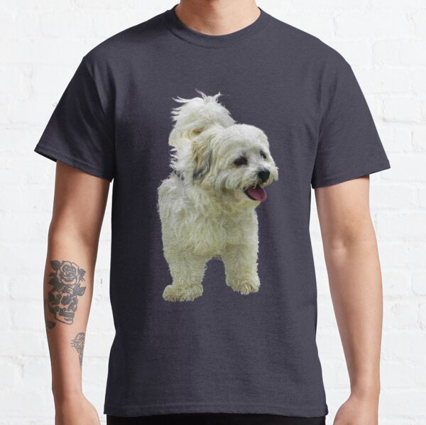 Maltese Shitsu fluffy dog Classic T-Shirt