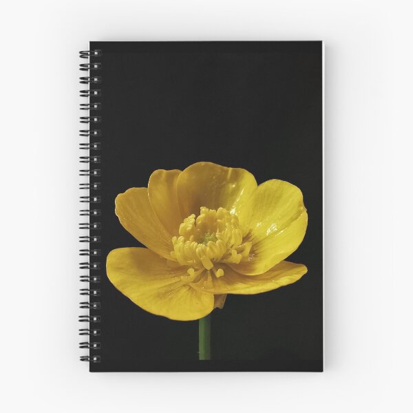 Item preview, Yellow buttercup flower on a black background  designed and sold by KaisPrints.