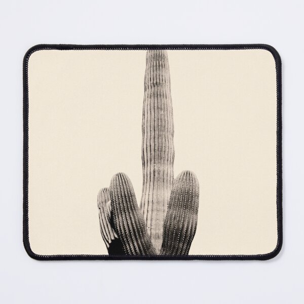 Item preview, Cactus Solo designed and sold by Shawa Shop.