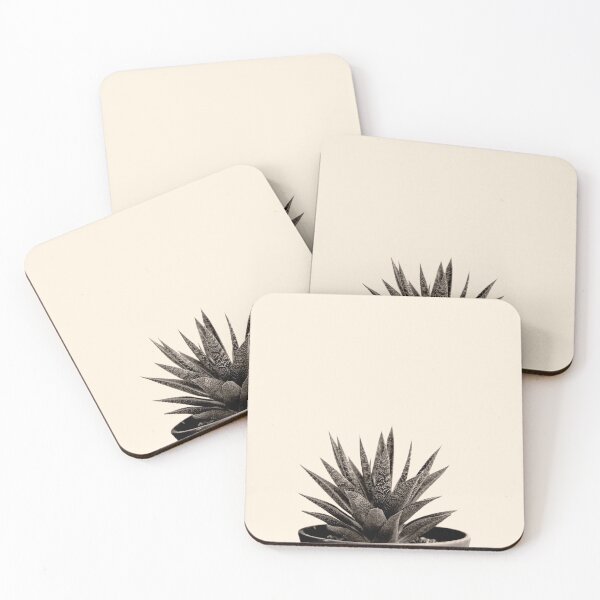 Item preview, Haworthia designed and sold by Shawa Shop.