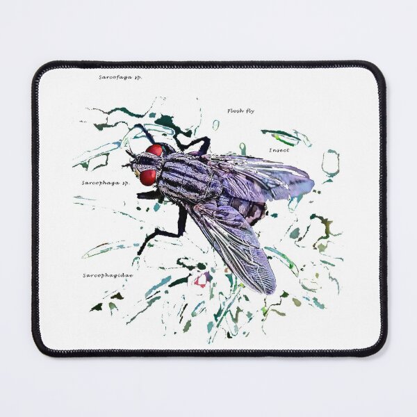 Item preview, Funny Insects Entomology Gifts - Cute Flesh Fly Modern Portrait designed and sold by r-silver.